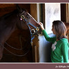 06/11/09   A Stable Friend

One of Shannon’s favorite activities is horseback riding at a local farm.  After a long day, she often goes over for a few relaxing moments and visits the horses.
